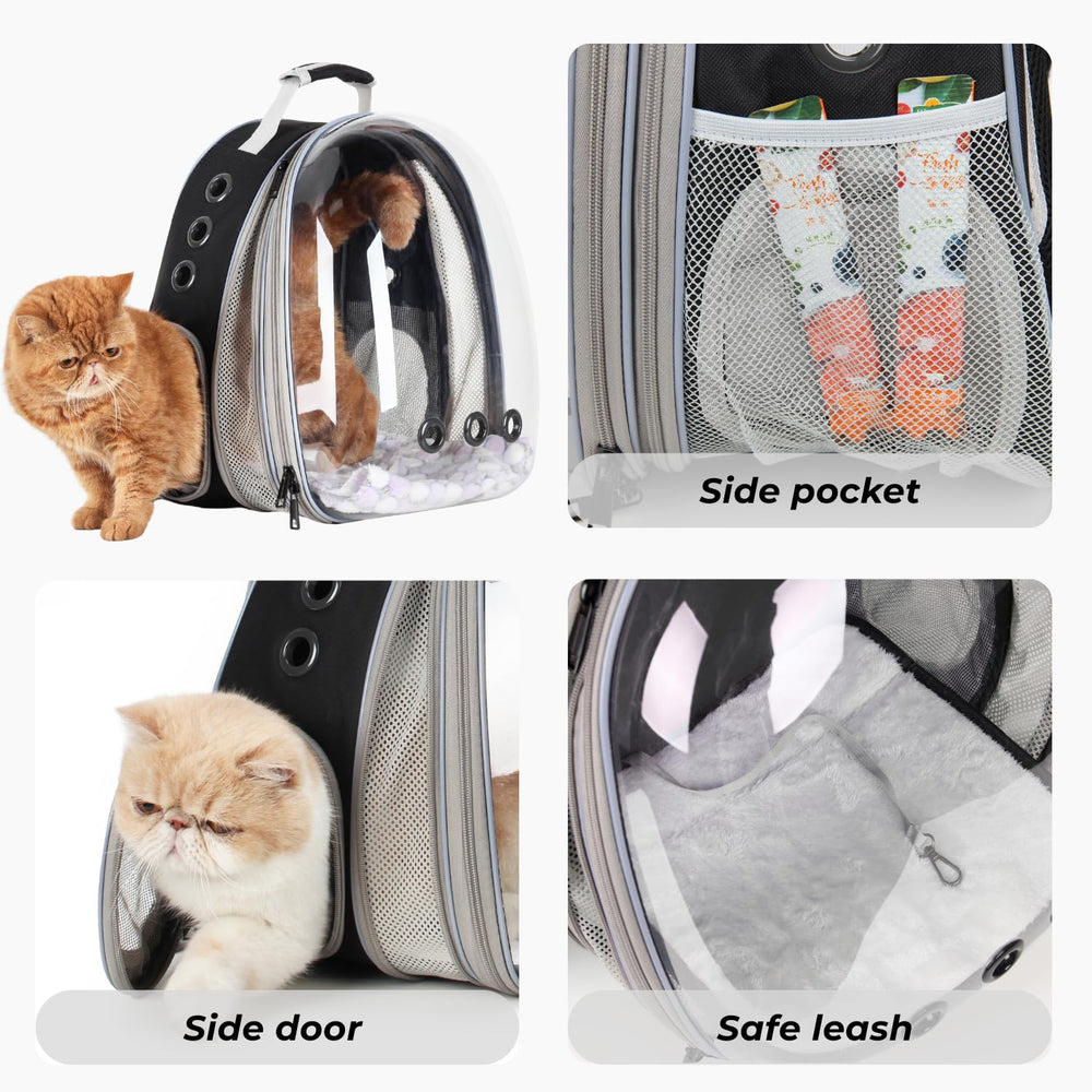 LOLLIMEOW chat dans le sac à dos en parc, rassurant et observateur