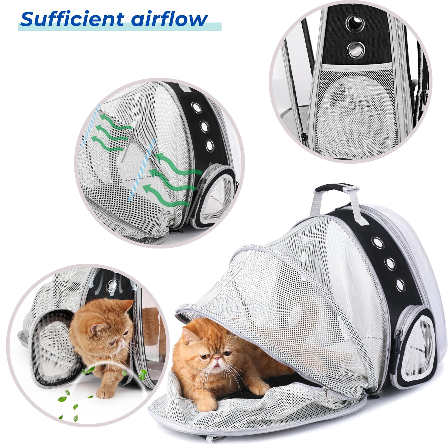 Lollimeow détails des aérations et mesh respirant, maintien d'une bonne circulation d'air