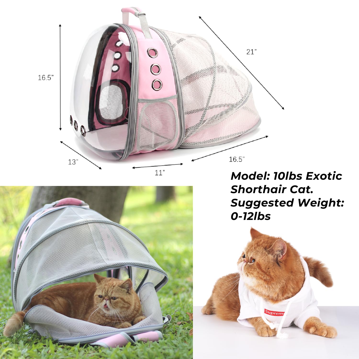 LOLLIMEOW extension déployée offrant espace supplémentaire confortable