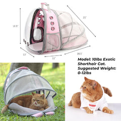 LOLLIMEOW extension déployée offrant espace supplémentaire confortable