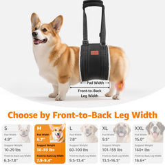 LOOBANI chien utilisé sling soutenant les hanches pour montée d’escaliers