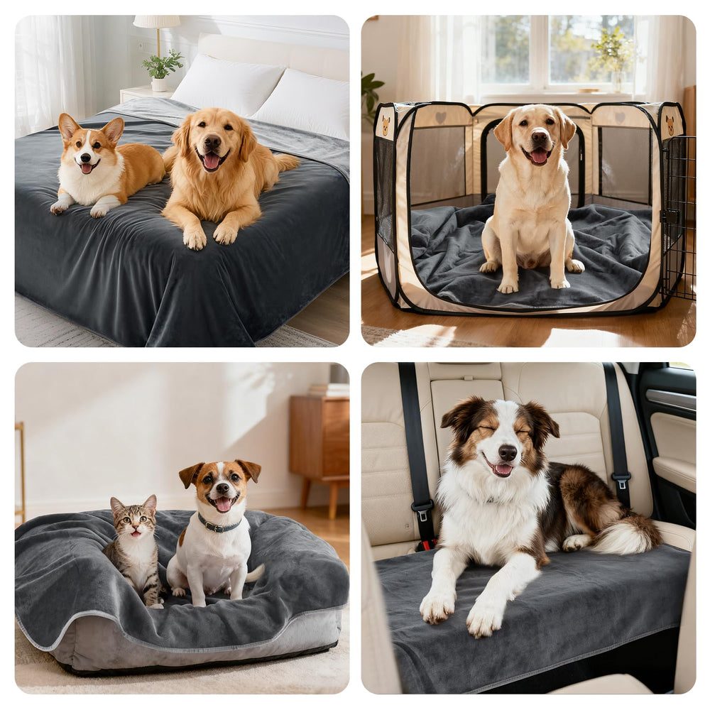 LOOBANI couverture installée dans panier rassurant un petit chien