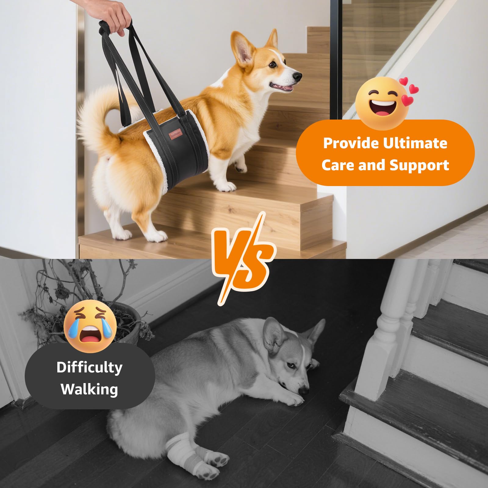 LOOBANI gros plan de la doublure type toison offrant confort au chien