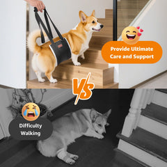 LOOBANI gros plan de la doublure type toison offrant confort au chien