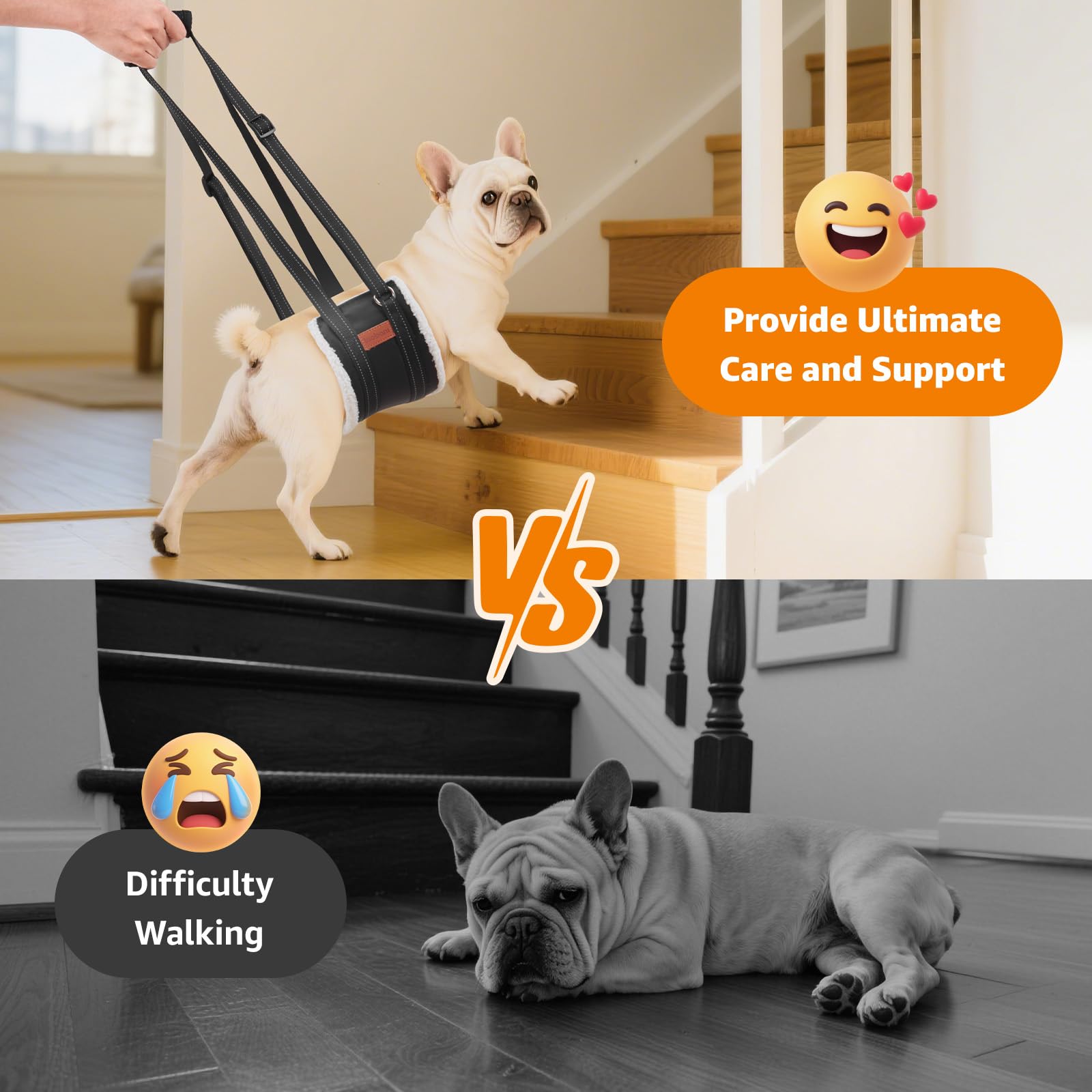 LOOBANI détail doublure moumoute douce pour confort du chien