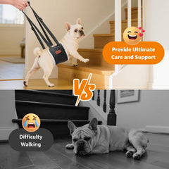 LOOBANI détail doublure moumoute douce pour confort du chien