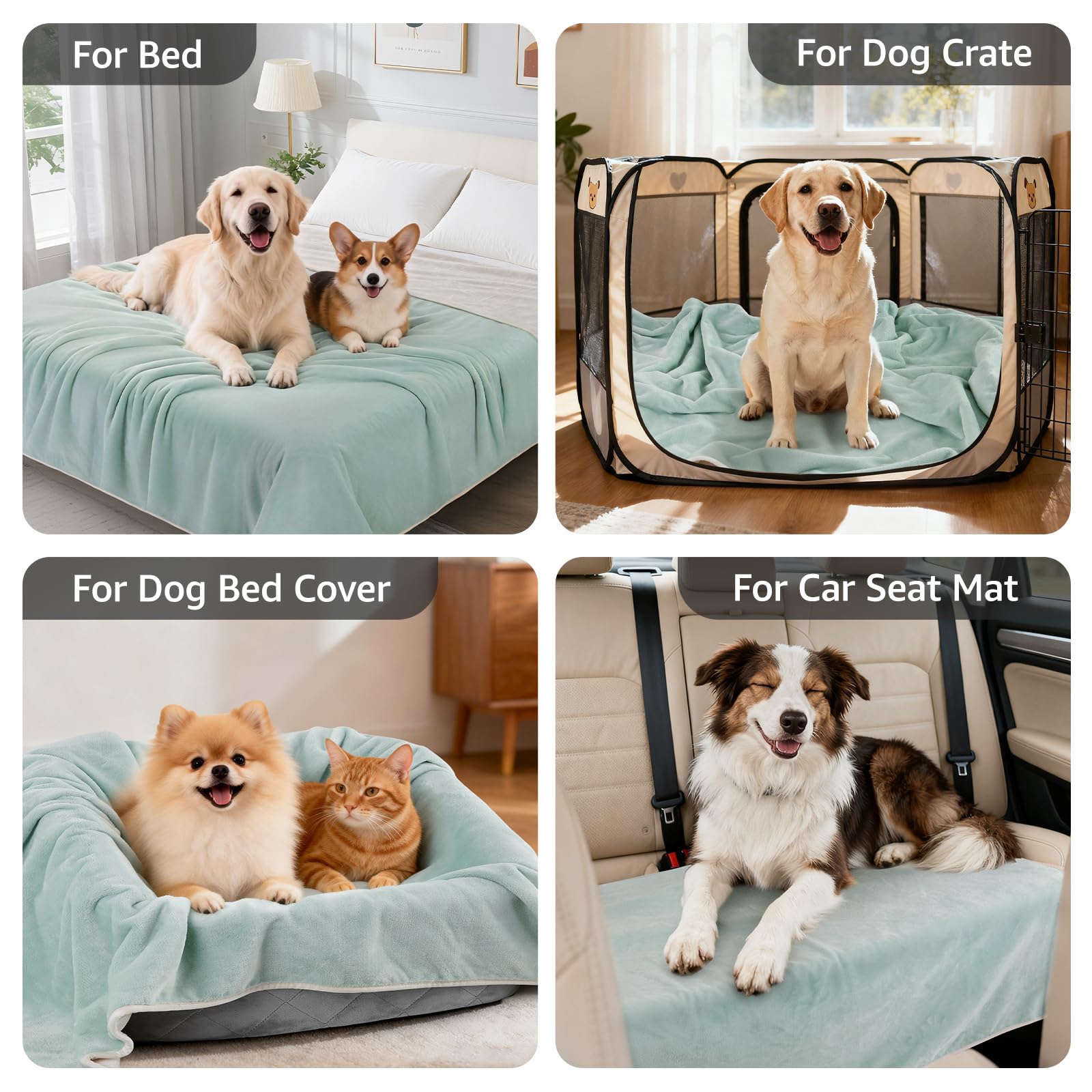 LOOBANI plaid installé sur canapé avec chien relaxé pour protéger mobilier