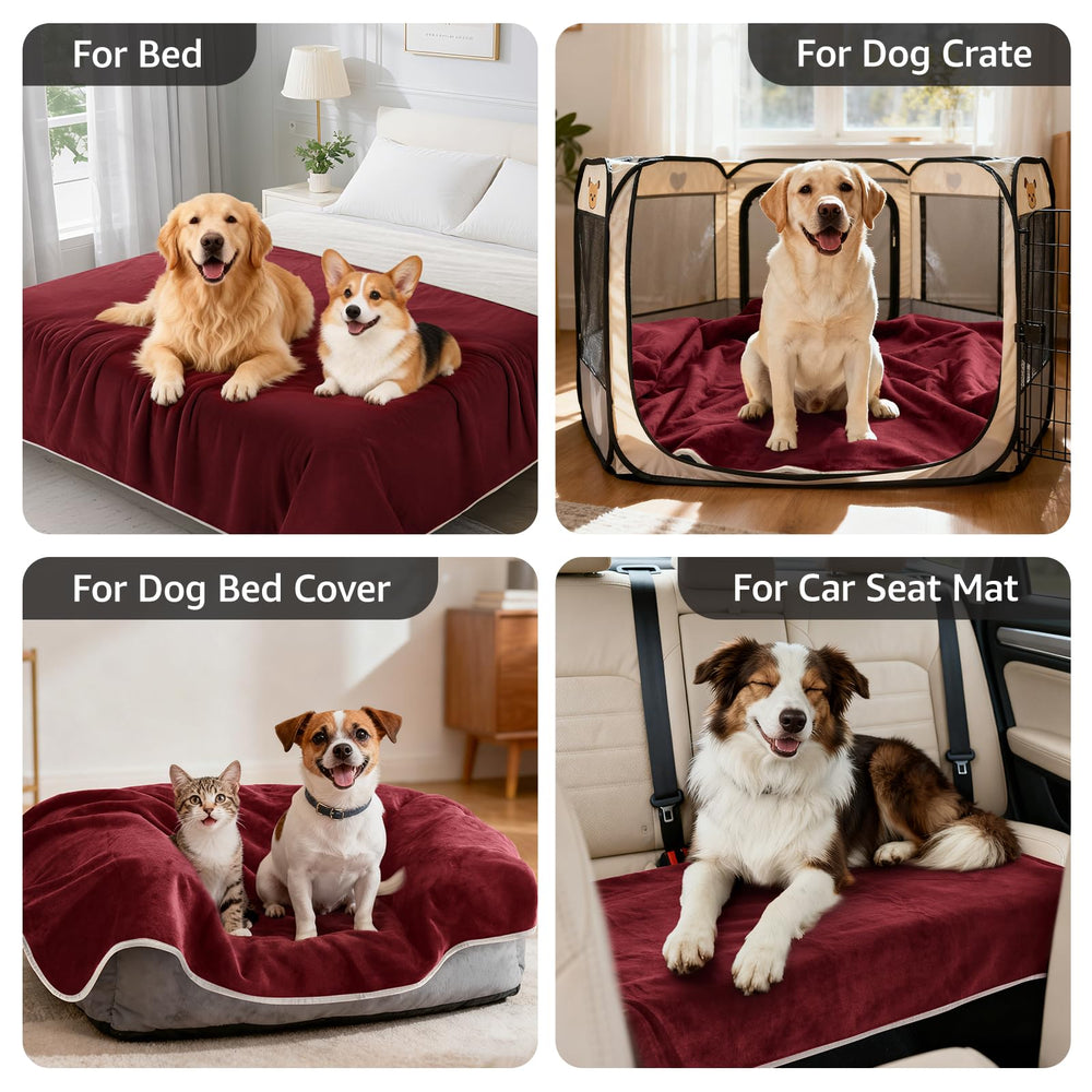 LOOBANI plaid utilisé sur canapé par un chien confortable et protégé