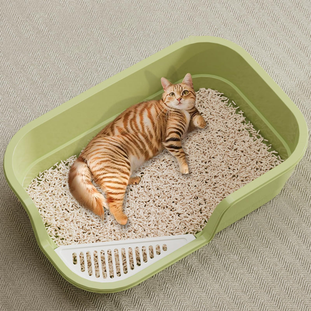 LoopTime comparaison taille, espace adapté aux chats actifs