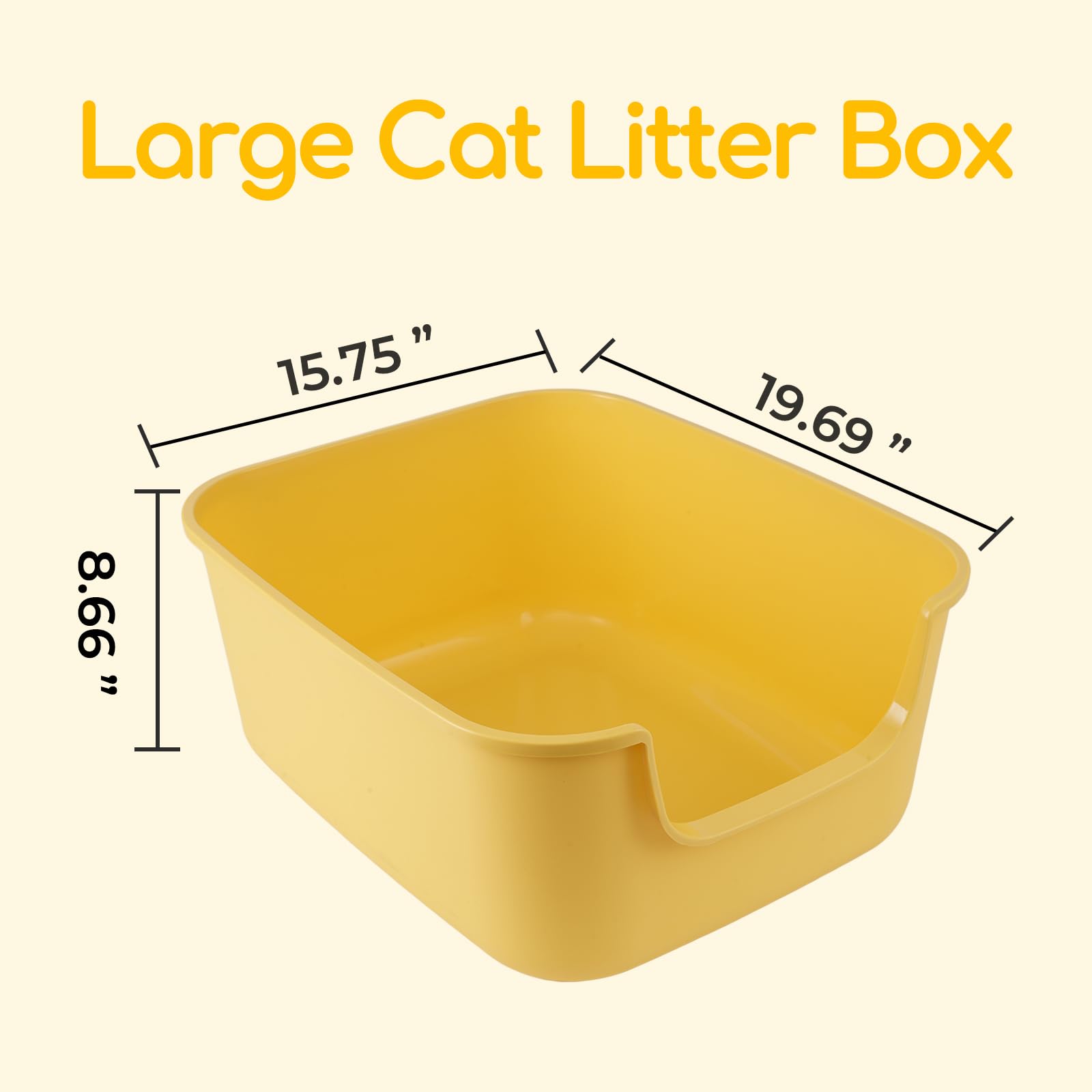 LoopTime comparaison taille avec chat montrant espace suffisant pour chats adultes