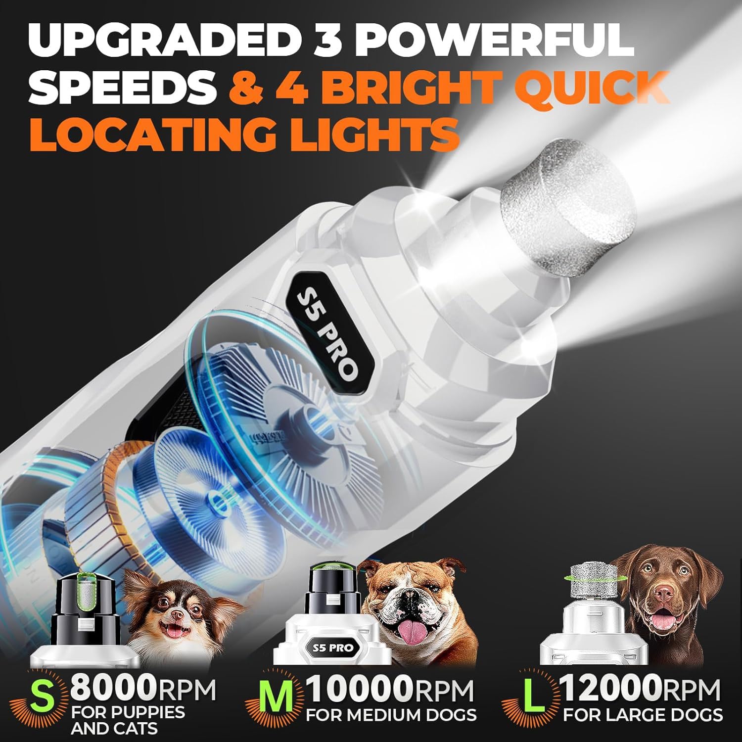LOPSIC lime en action sur grand chien pour limage efficace