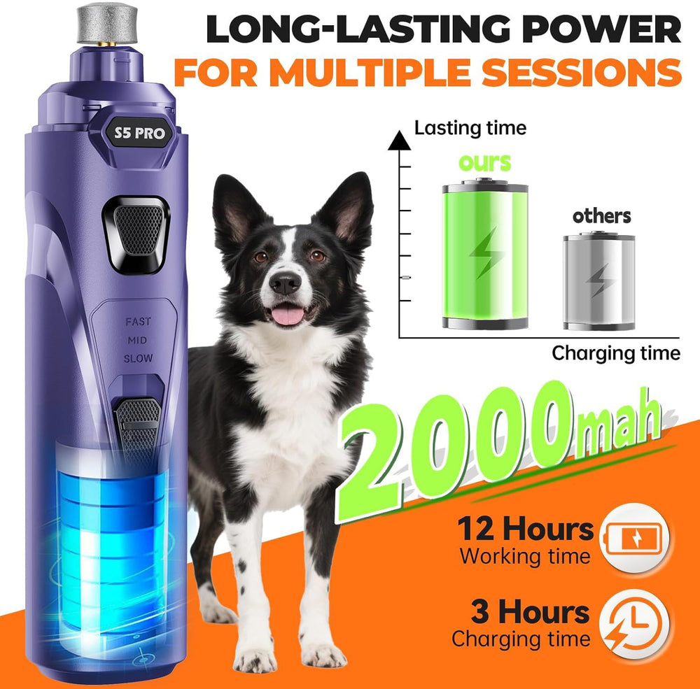 LOPSIC en utilisation sur une patte de chien pour coupe sûre