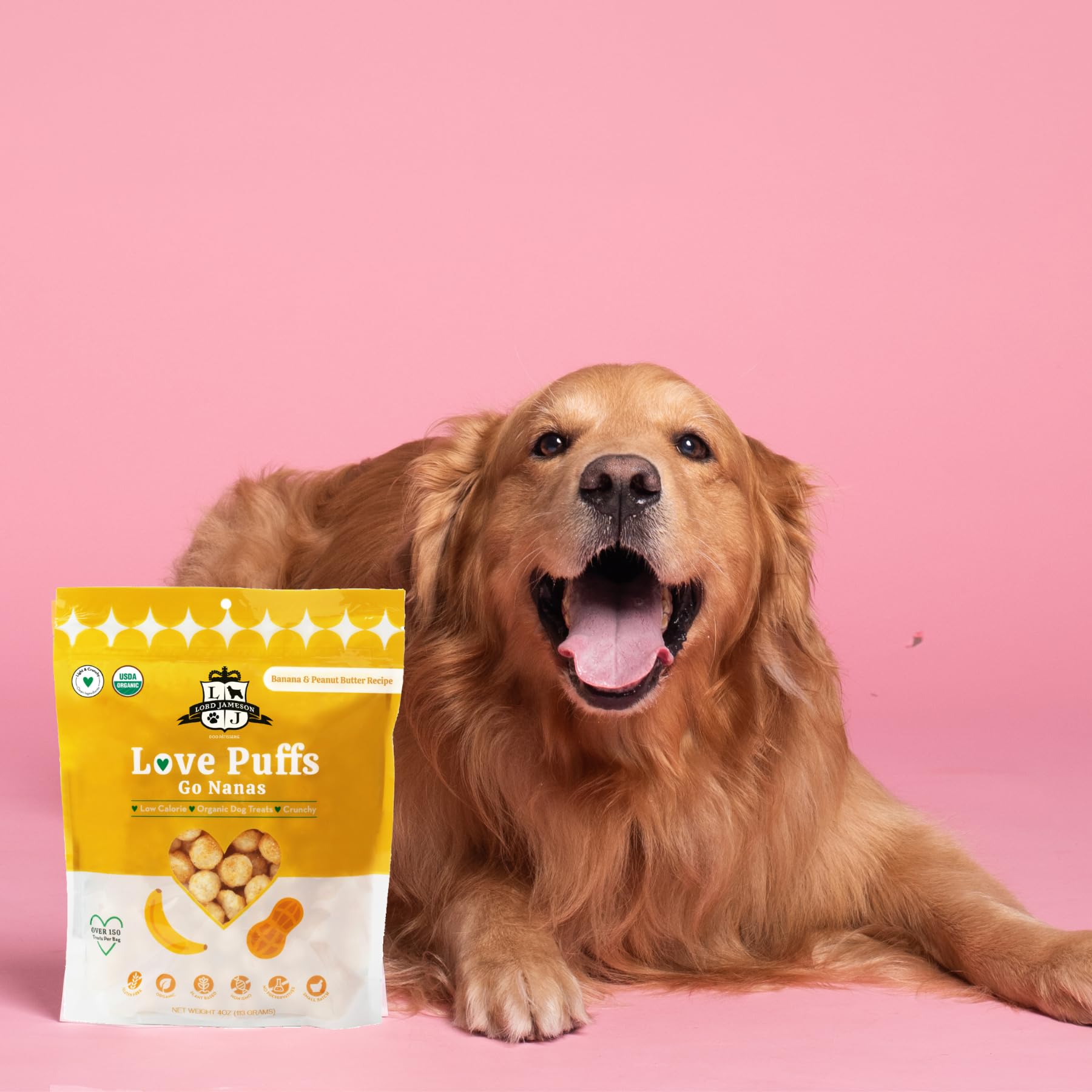 Lord Jameson friandise en utilisation avec chien, récompense motivante