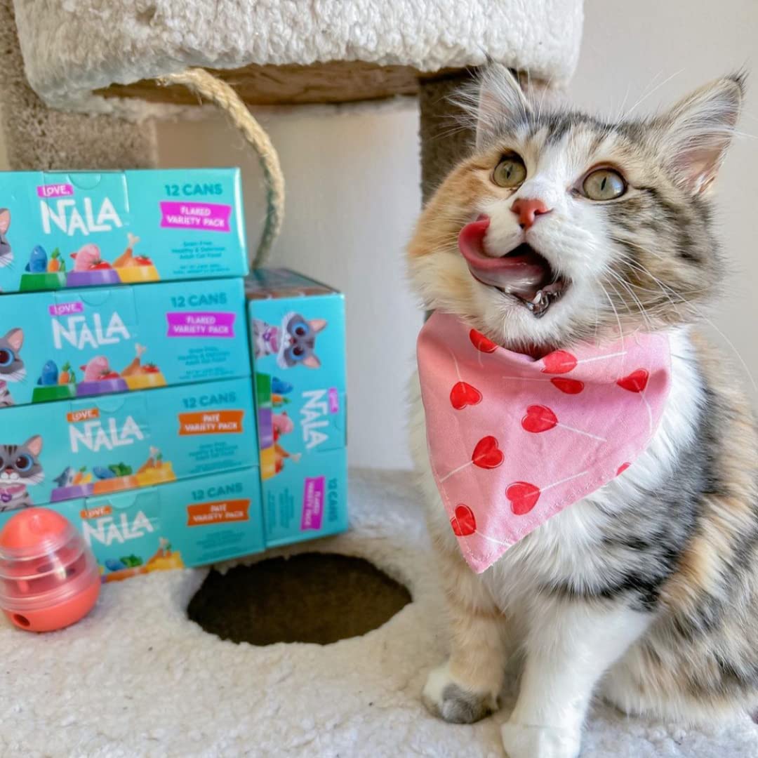 LOVE, NALA chat consommant du bol illustrant acceptation par les chats