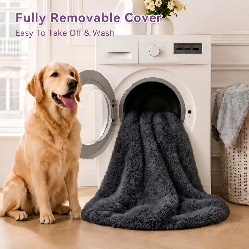 LOVEPals comparaison taille montrant proportion pour humain et animal