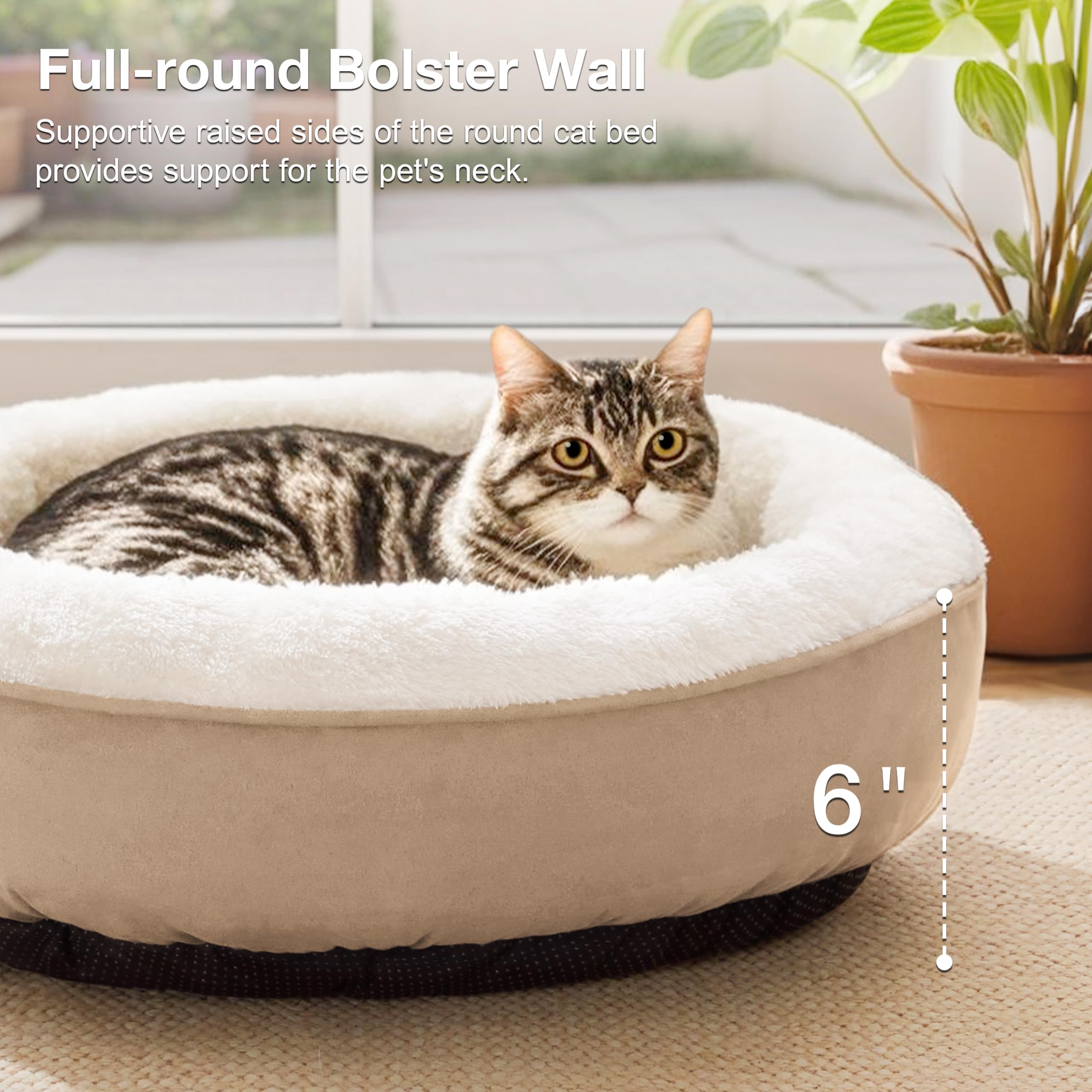 Love's cabin chat installé confortablement dans le lit pour repos