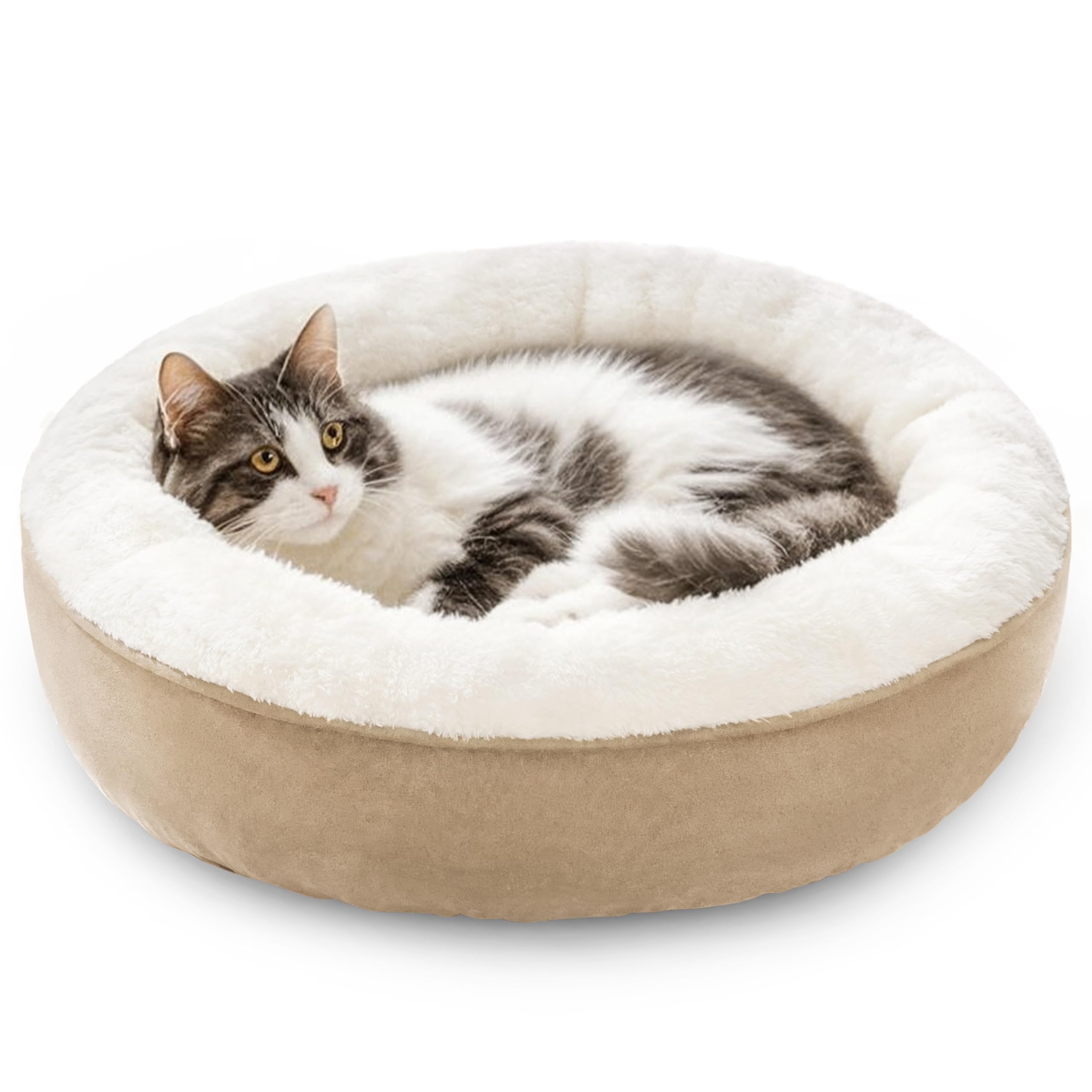 Love's cabin lit donut face avant montrant confort et design