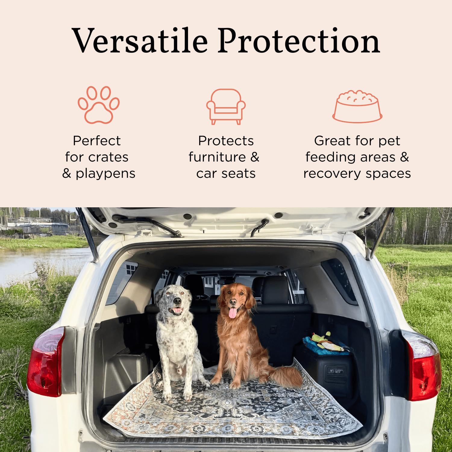 Lovewag Pets tapis 36x48 à côté d'un chien montre la couverture
