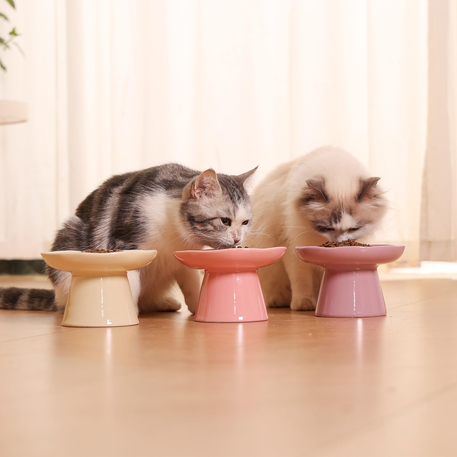 LOVINFURBABY étiquette avec dimensions claires pour choisir la bonne taille