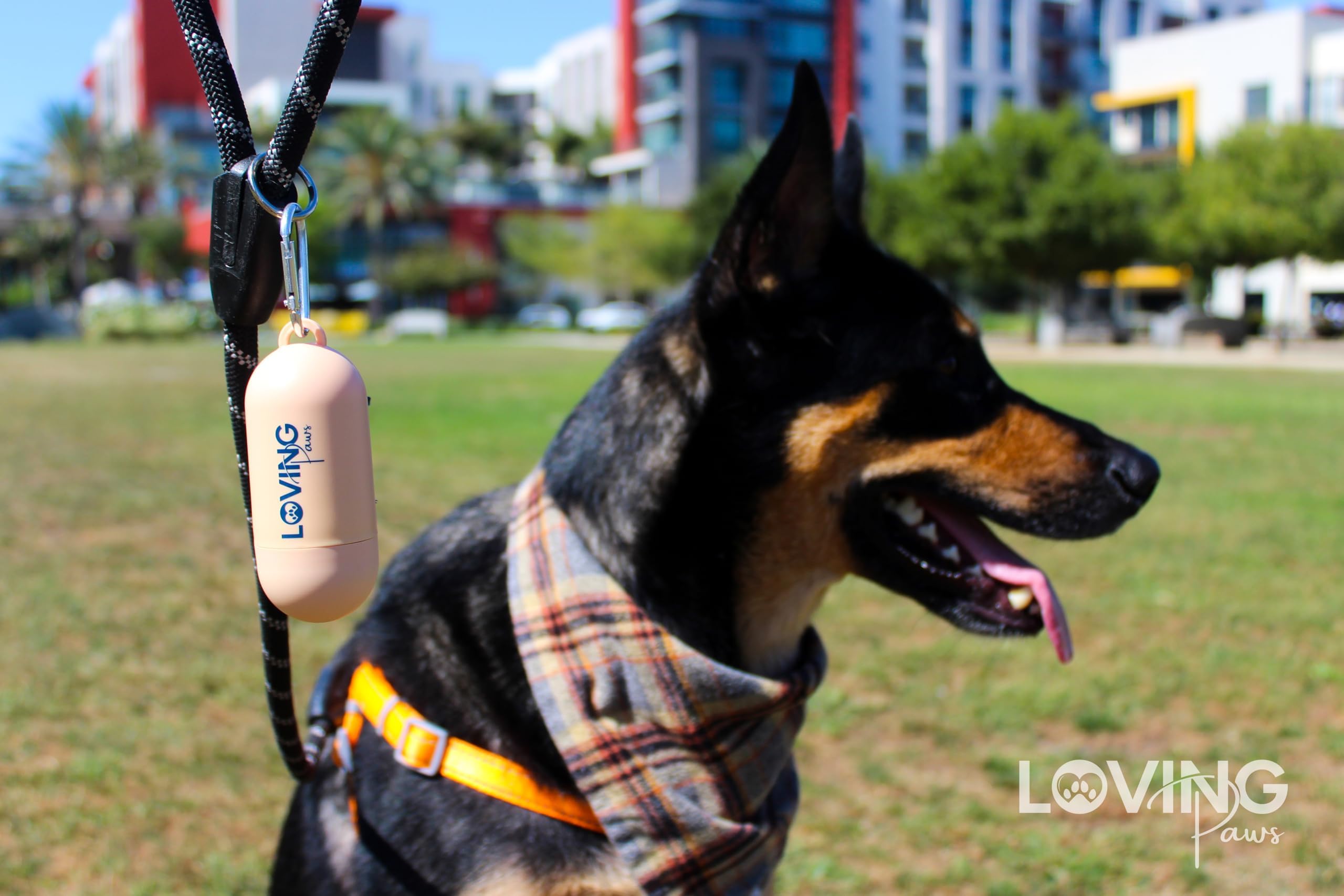 LOVING Paws utilisation en parc illustrant propreté et gestion pratique des déchets