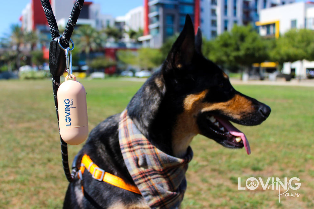 LOVING Paws utilisation en parc illustrant propreté et gestion pratique des déchets