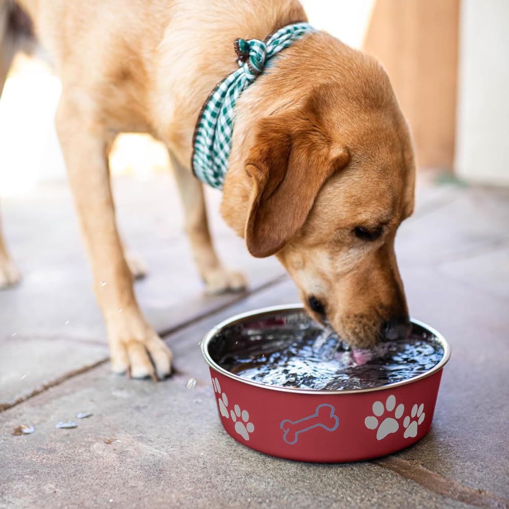 Loving Pets Bella Bowl comparaison taille avec objets, capacité visible