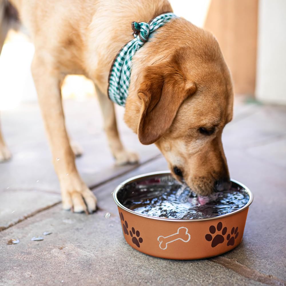 Loving Pets Bella Bowl comparaison taille pour chiens 35–65 lb