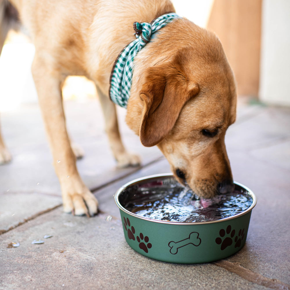 Loving Pets Bella Bowl comparaison taille adapté grands chiens