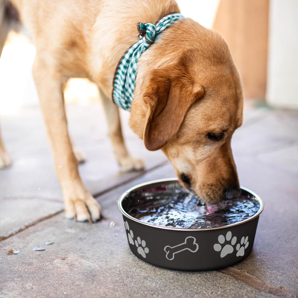 Loving Pets Bella Bowl détail empreinte patte décorative ajoutant une touche stylée