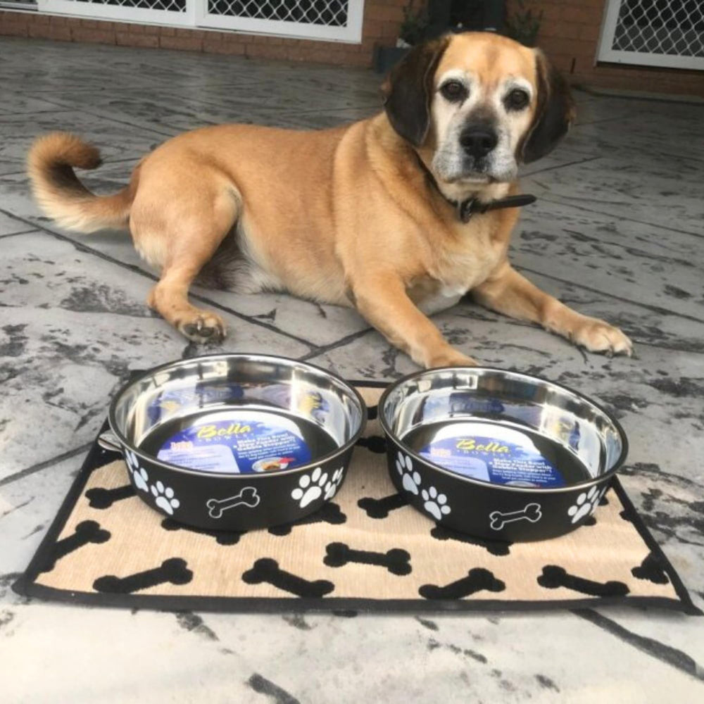 Loving Pets Bella Bowl utilisée par un chien grand gabarit, réduit les renversements