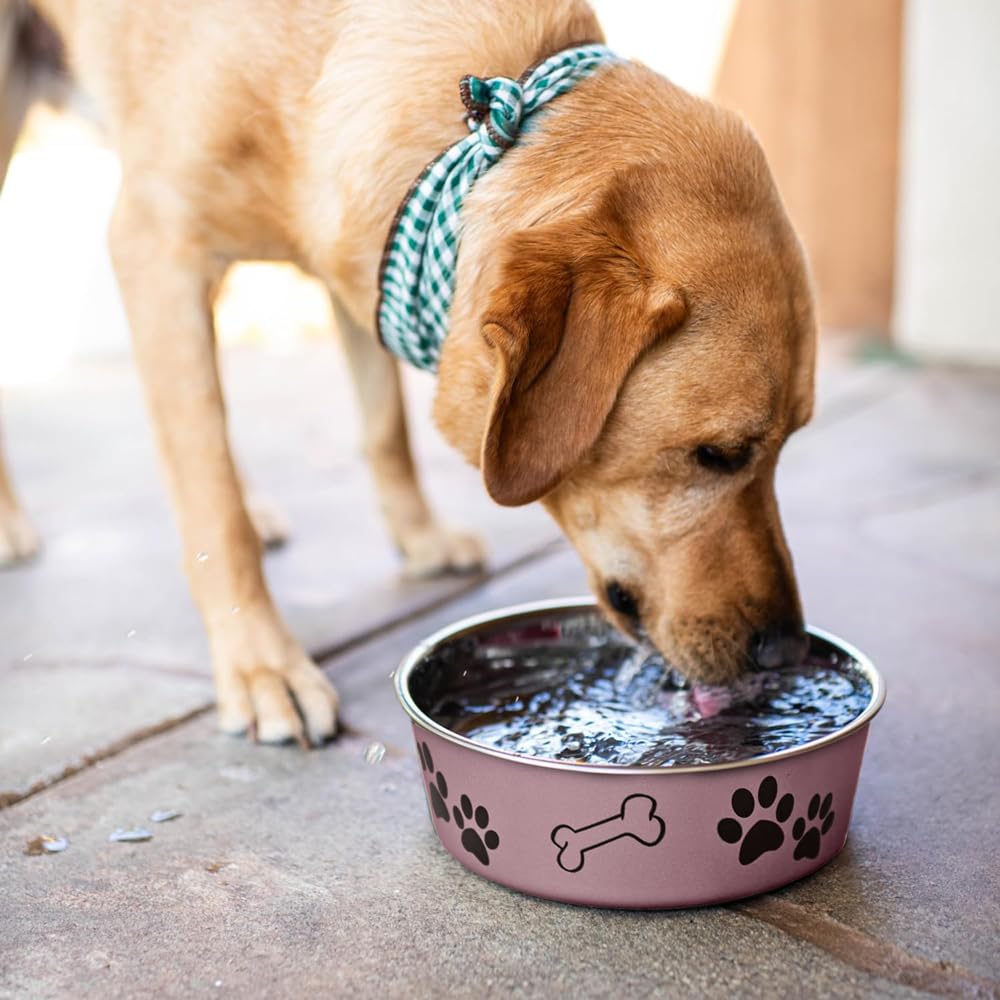 Loving Pets Bella Bowl comparaison taille main idéale pour petits chiens