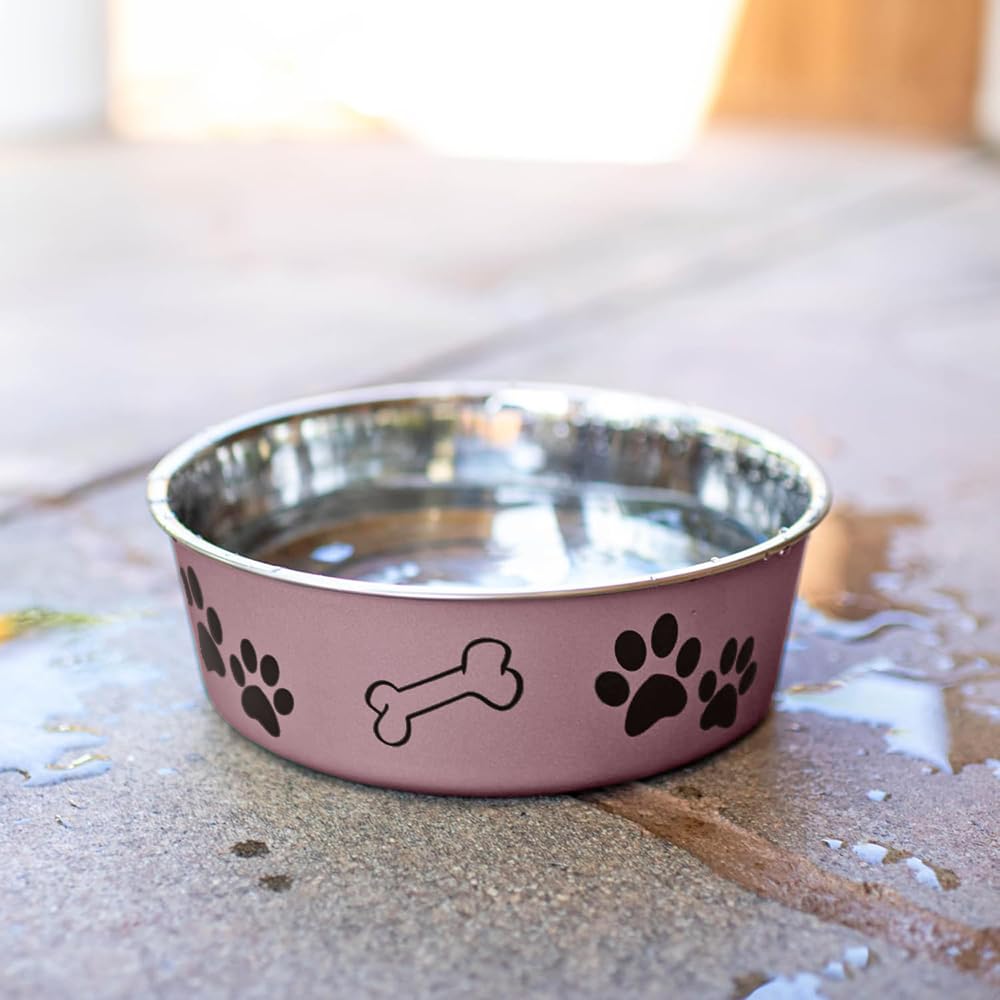Loving Pets bol dans une cuisine moderne mariant style et praticité