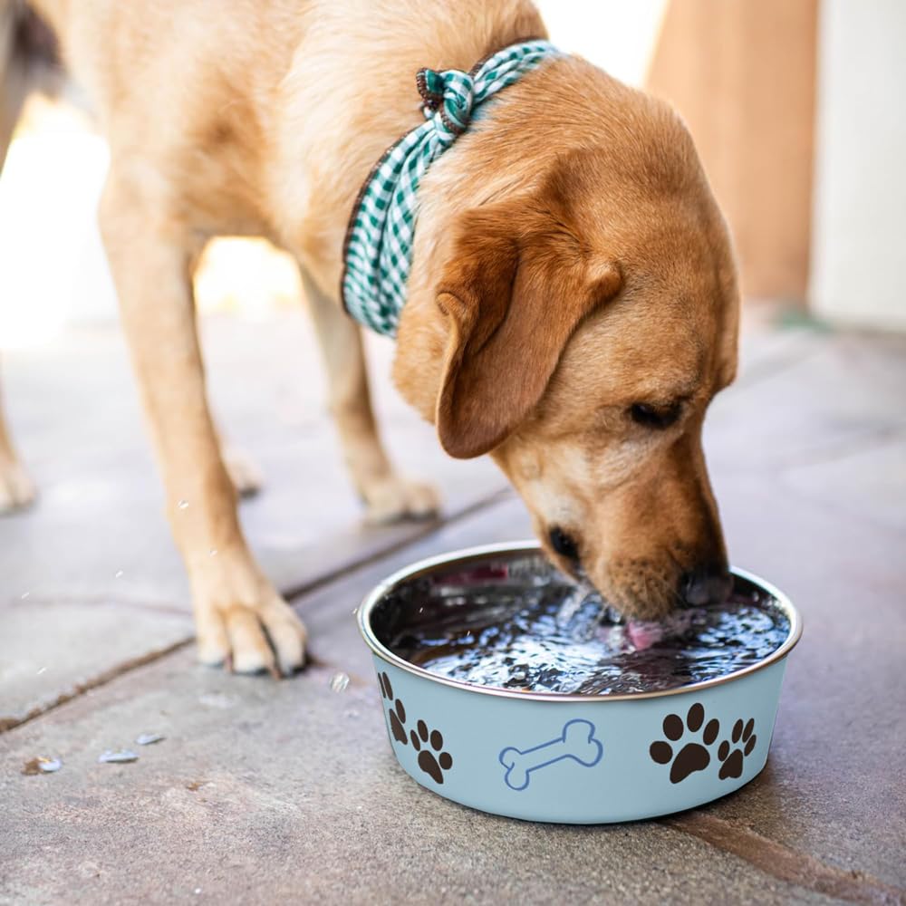 Loving Pets Bella Bowl détail poly-résine fini élégant et durable