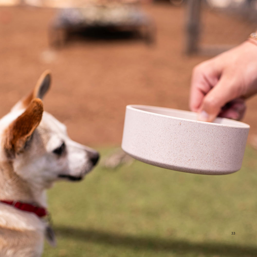 Loving Pets Dolce Bamboo comparaison des trois tailles pour choix adapté