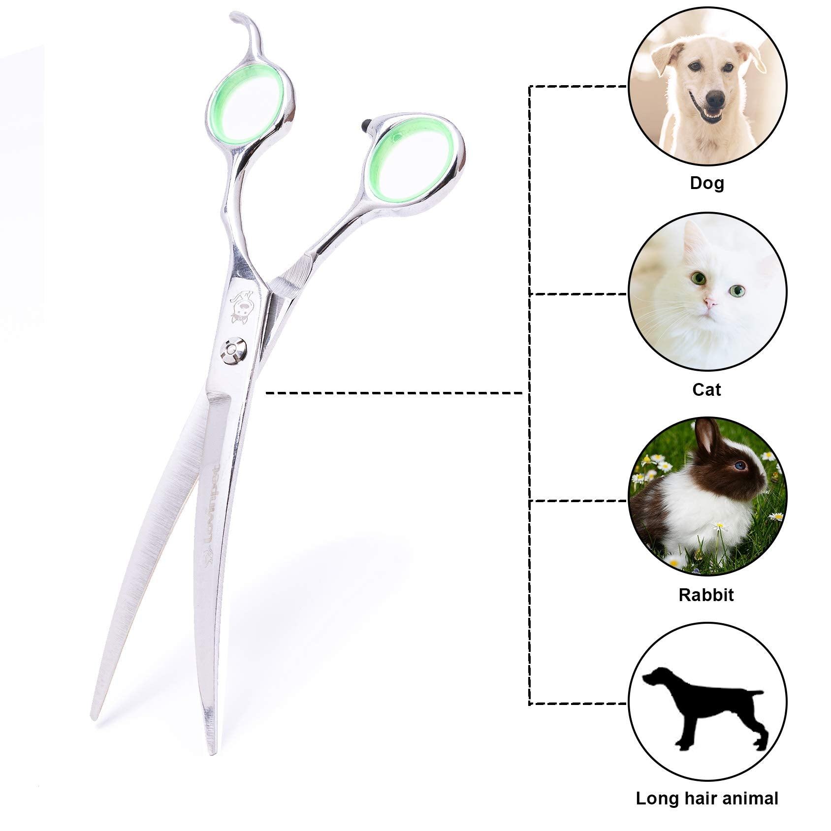 LovinPet comparaison avec une main pour visualiser l’échelle et le contrôle