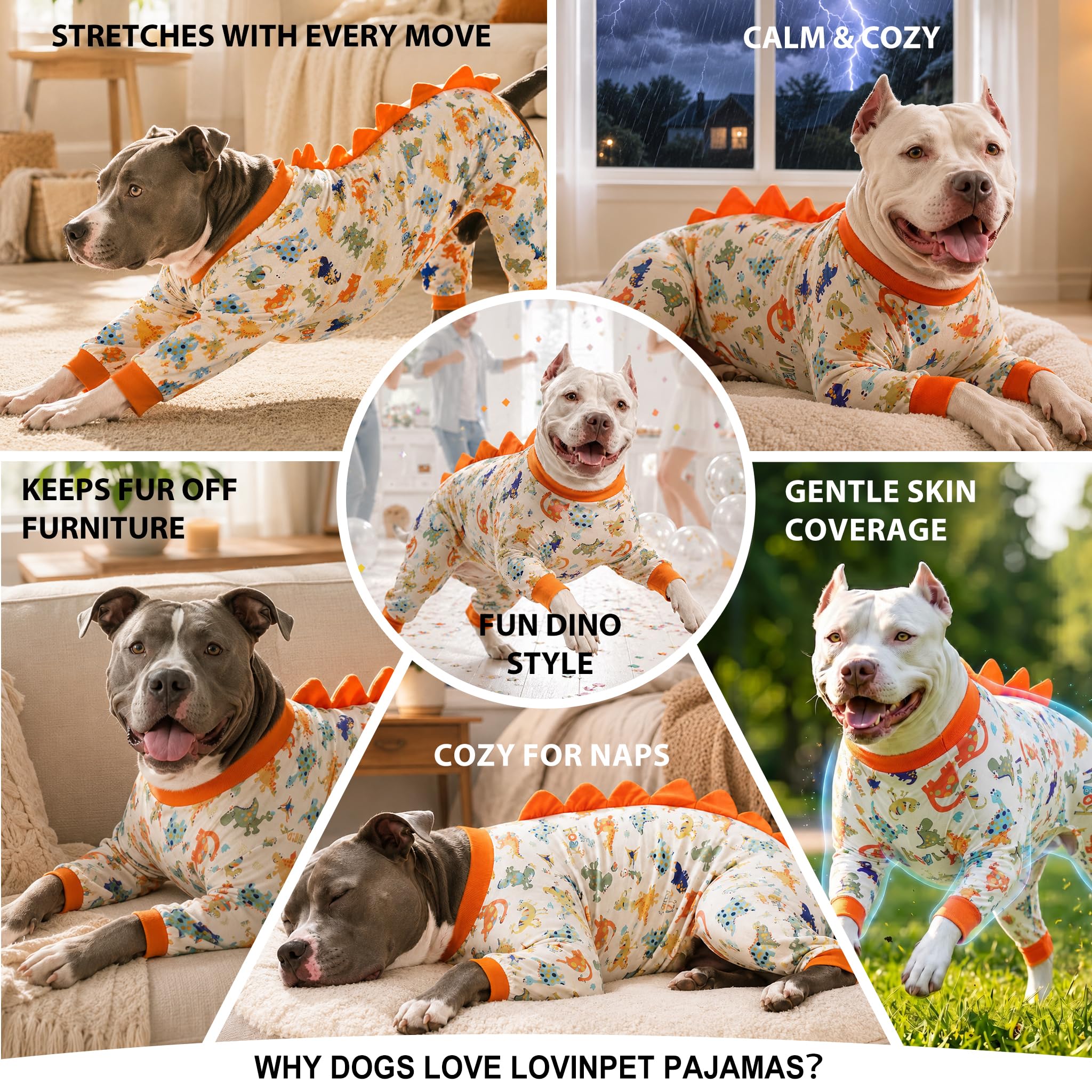 LovinPet ambiance intérieure, tenue confortable pour soirées calmes
