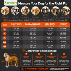LovinPet col pétale en détail apportant style et confort au cou du chien
