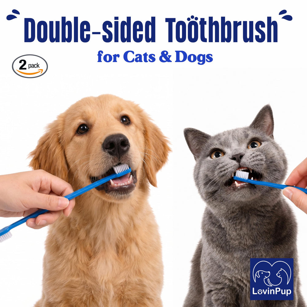 LOVINPUP gros plan des poils souples, nettoie doucement les gencives sensibles