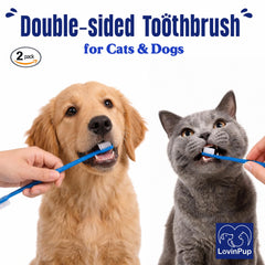 LOVINPUP gros plan des poils souples, nettoie doucement les gencives sensibles