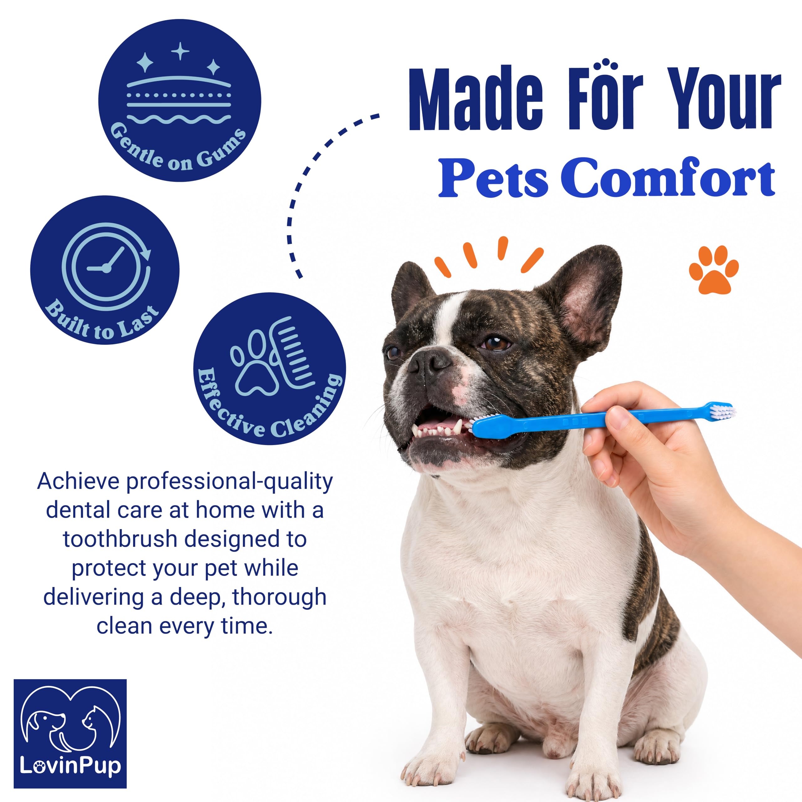 LOVINPUP brossage sur chat montrant petite tête atteignant zones difficiles