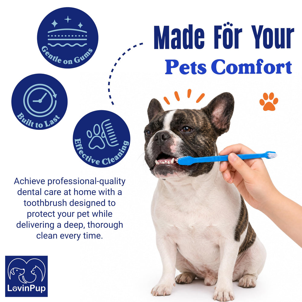 LOVINPUP brossage sur chat montrant petite tête atteignant zones difficiles