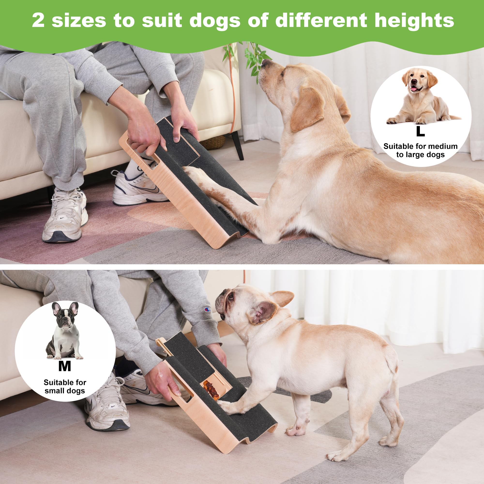 LovIntry comparaison d'échelle montre taille L adaptée grands chiens