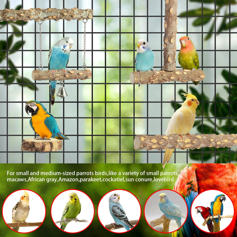 lovyoCoCo balançoire en usage stimulant jeu et exercice de l'oiseau