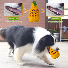 LPHSNR ananas lancé en action pour exercice et divertissement canin