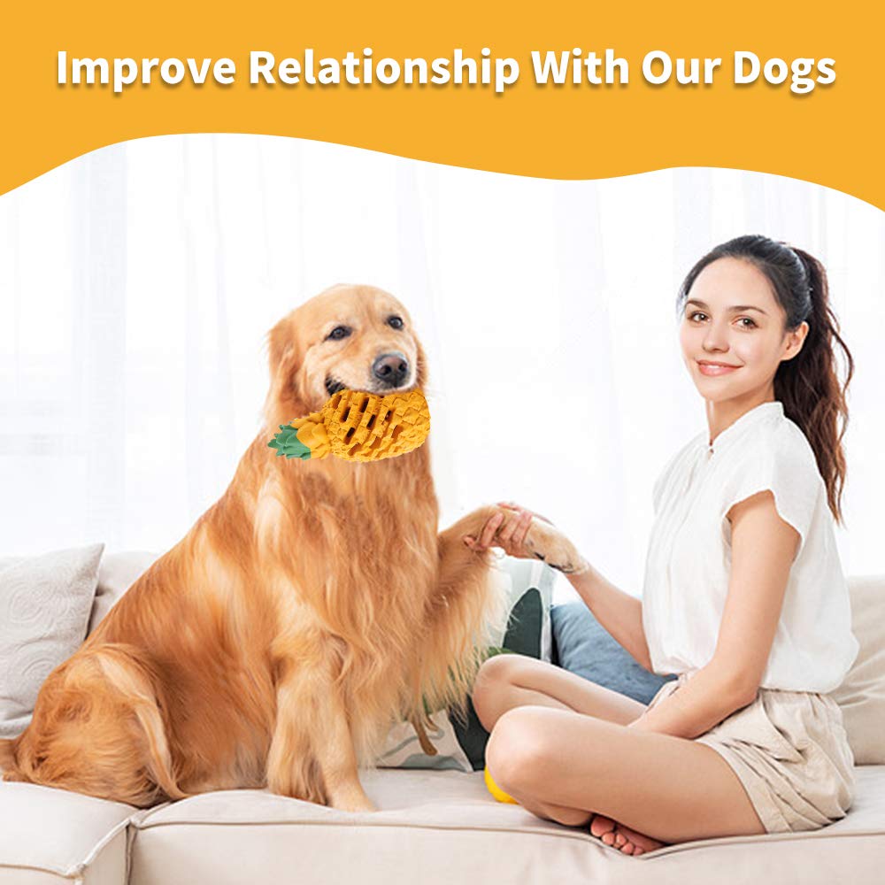 LPHSNR chien jouant avec ananas pour enrichissement mental et activité