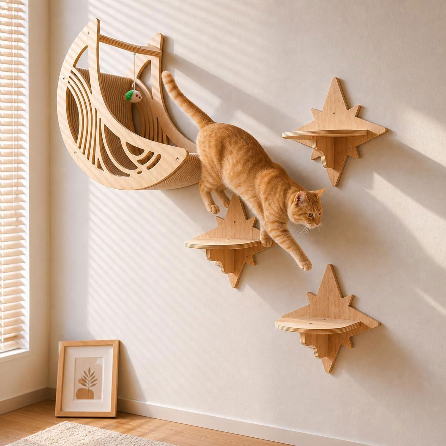 Lpydamo échelle de comparaison montre taille adaptée pour chat