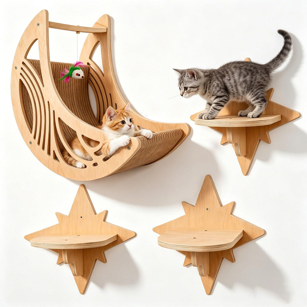 Lpydamo ensemble dans salon design crée perchoir élégant et pratique