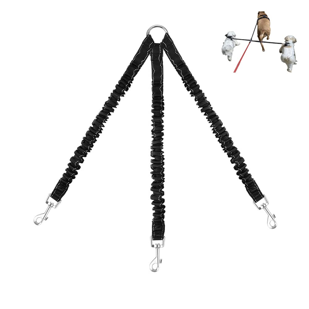 LTSGORY face avant emballage montrant design et compatibilité pour trois chiens