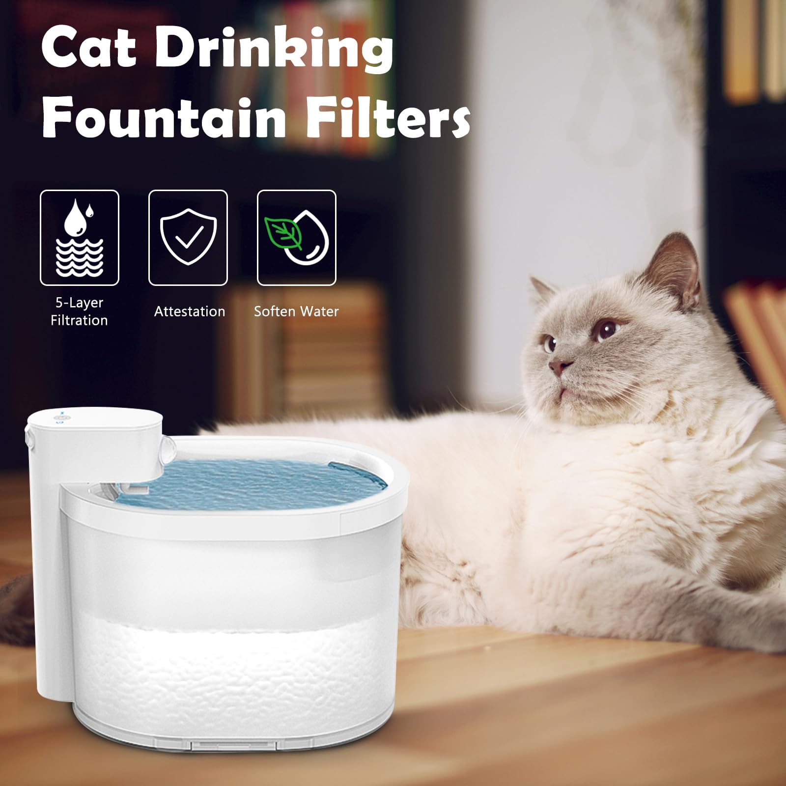 LUBERDUSH filtre en usage dans une cuisine avec chat montrant eau fraîche accessible