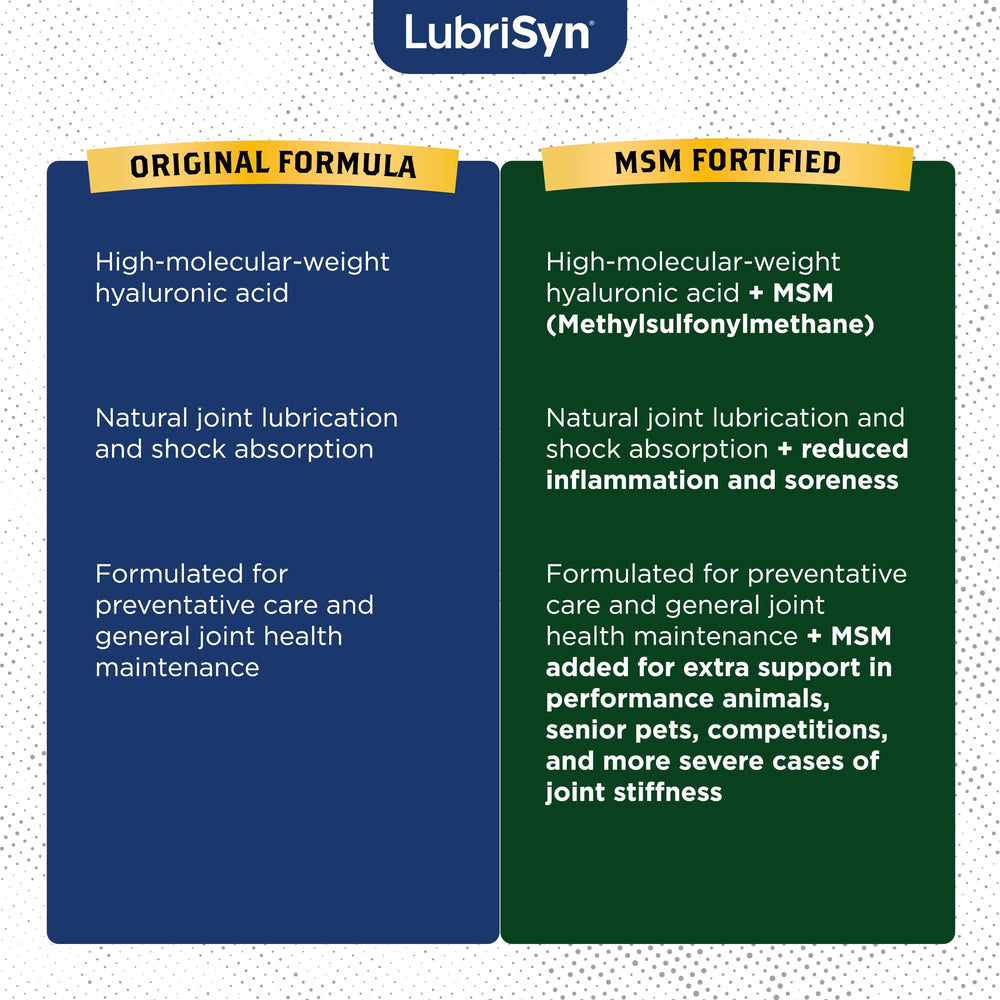 Lubrisyn chat au repos montrant confort et bien-être post-administration